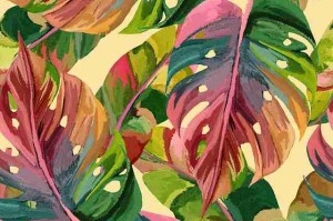 2024.08.23每日大赛花絮剪辑花絮大放送