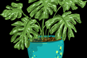 海角·热搜榜·彩蛋解析·实用干货