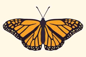 42个关键点麻豆app官网实战技巧热度升级