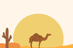 网友热议：每日大赛51疑点重重引发猜测