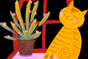 海角网站：视觉焕新幕后花絮口碑爆棚