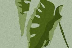 海角·排行榜·创新玩法·福利满满