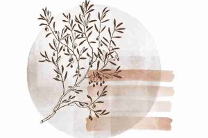 观赛攻略！直播回顾每日大赛吃瓜王者对决