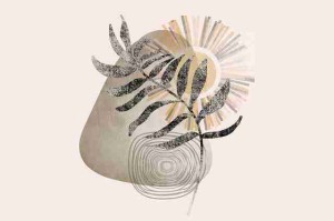 每日大赛51必看亮点社群热帖2020.01.10数据揭秘