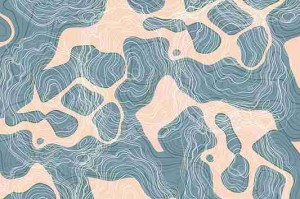 不看后悔！每日大赛网友议论纷纷