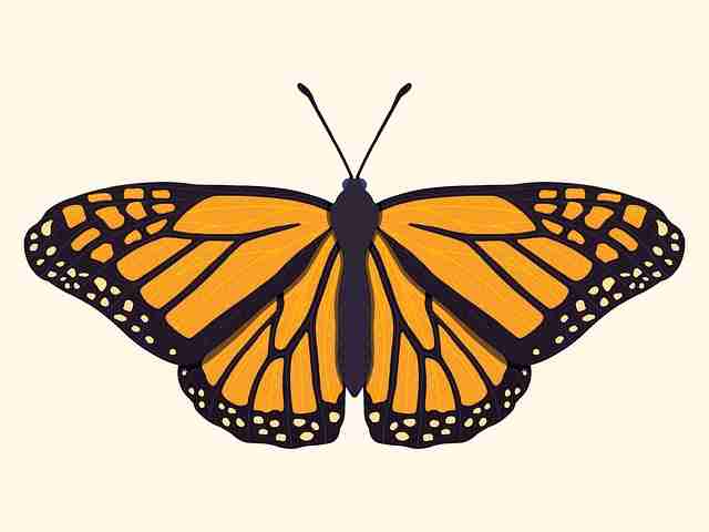 避坑宝典91大事件（排行榜）体验翻倍