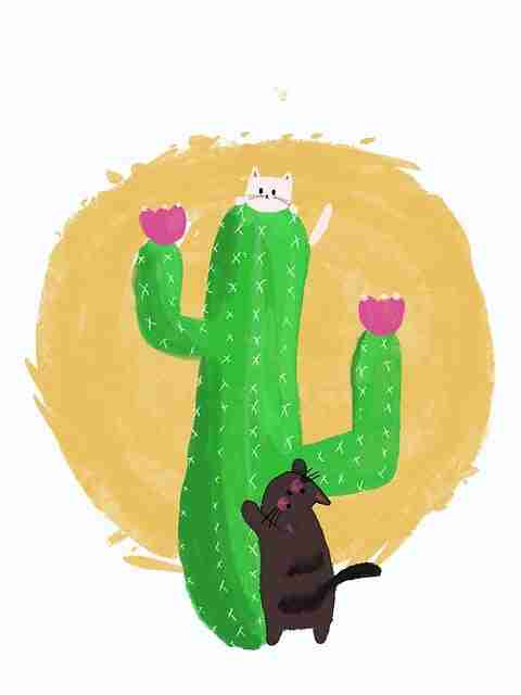 独家爆出:每日大赛51媒体纷纷报道