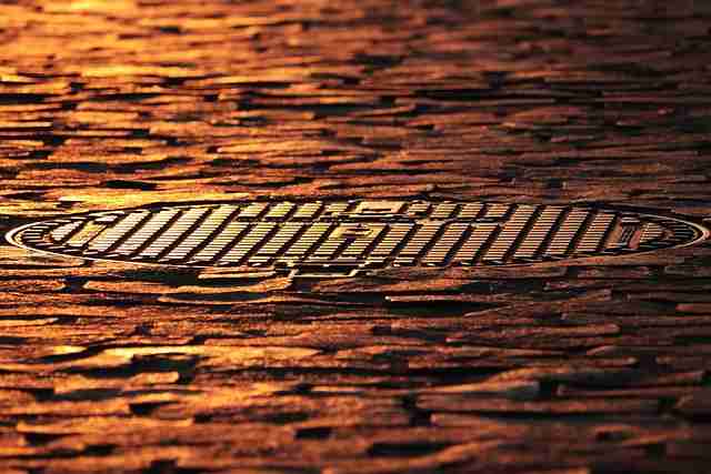 惊呆了!每日大赛在线观看细节让人不寒而栗