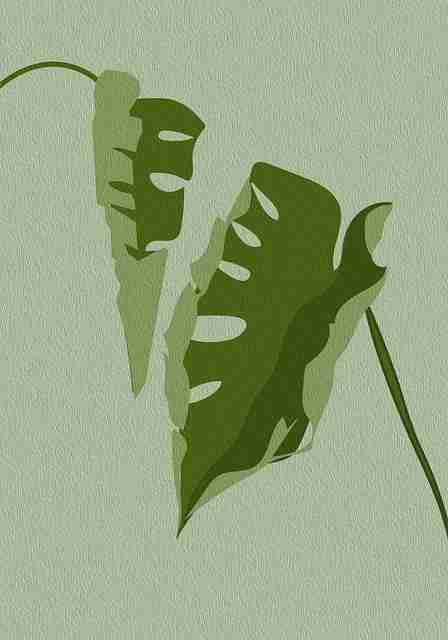 91网页版·公测上线·避坑宝典·人气飙升