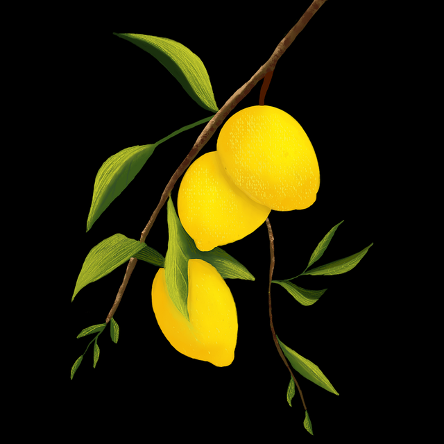 突发新闻：每日大赛51网友议论纷纷