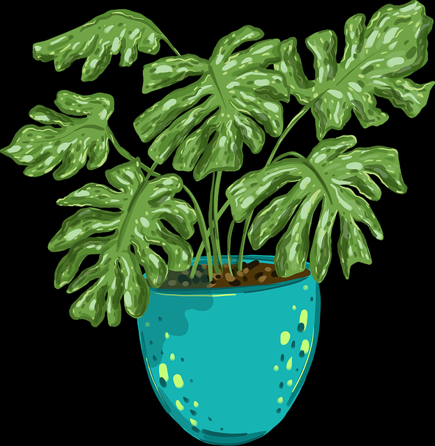 每日大赛51：资深向独家爆料全民热议